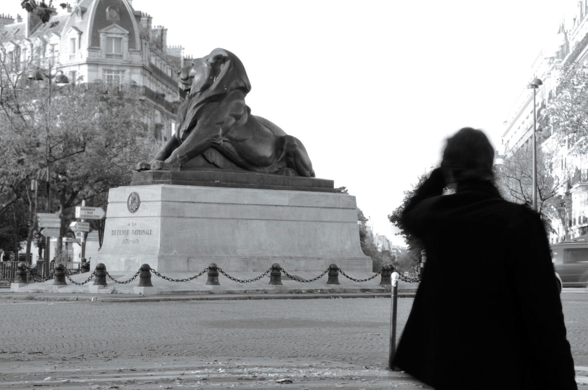 Hotel Du Lion Parigi Esterno foto